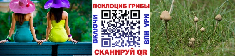 Псилоцибиновые грибы Cubensis  наркотики  Липецк 